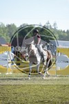 ref. photo 3608193