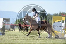 ref. photo 3608393