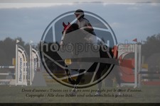 ref. photo 3608490