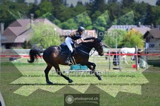 ref. photo 4048019