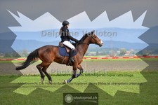 ref. photo 4048461