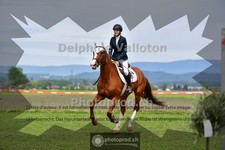 ref. photo 4049785