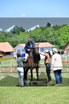 ref. photo 4050099