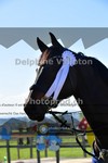 ref. photo 4050406