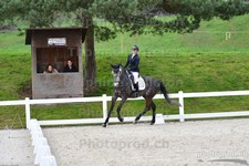 ref. photo 3084838