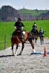 ref. photo 3085003