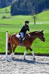 ref. photo 3085008
