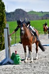 ref. photo 3085016