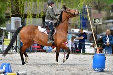 ref. photo 3085033