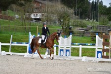 ref. photo 3085081