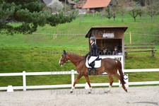 ref. photo 3085097