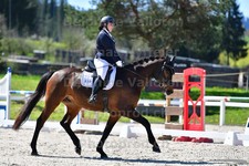 ref. photo 3085137