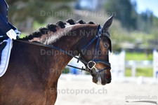 ref. photo 3085142