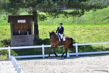 ref. photo 3085147