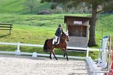 ref. photo 3085243