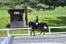 ref. photo 3085266