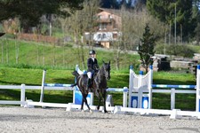ref. photo 3085274
