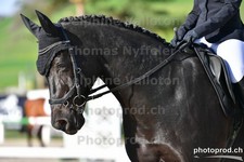 ref. photo 3085292