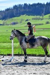 ref. photo 3085439