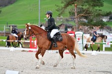 ref. photo 3085613
