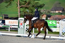 ref. photo 3085797