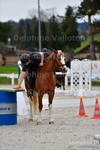 ref. photo 3086002