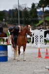 ref. photo 3086003