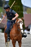 ref. photo 3086050