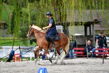 ref. photo 3086051