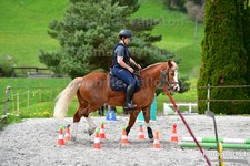 ref. photo 3086052