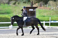 ref. photo 3086071