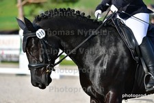 ref. photo 3086090