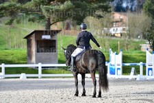 ref. photo 3086096