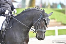 ref. photo 3086122