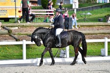 ref. photo 3086123