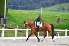 ref. photo 3086155