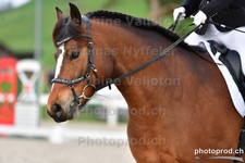 ref. photo 3086184