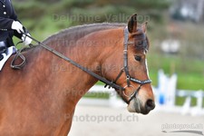 ref. photo 3086193