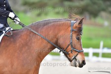 ref. photo 3086203