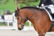 ref. photo 3086208