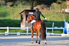 ref. photo 3086388