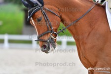 ref. photo 3086428