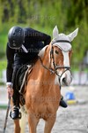 ref. photo 3086621