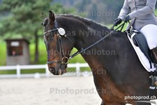 ref. photo 3086973