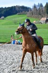 ref. photo 3087017