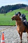ref. photo 3087018