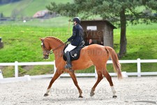 ref. photo 3087259