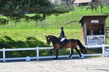 ref. photo 3087541