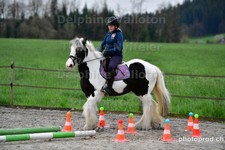 ref. photo 3088004