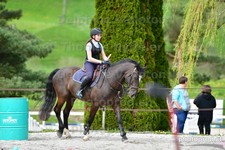 ref. photo 3088018